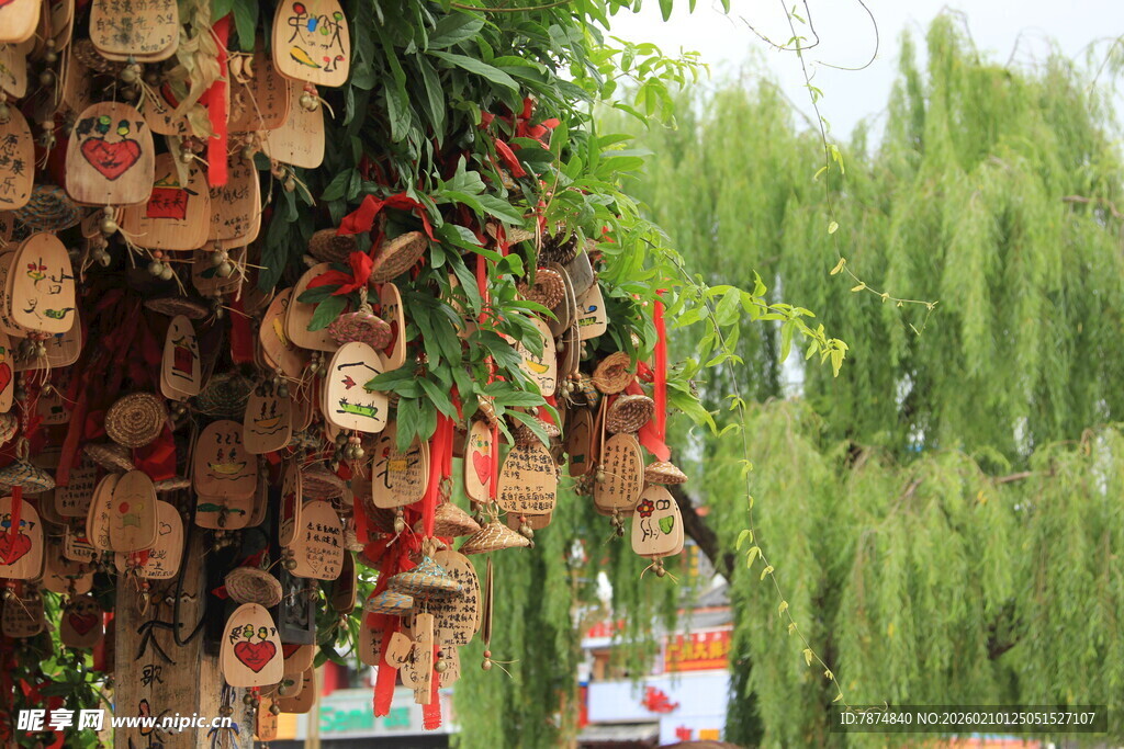 树上悬挂的祈福许愿牌