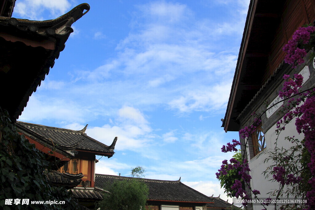 古屋檐下的蓝天繁花