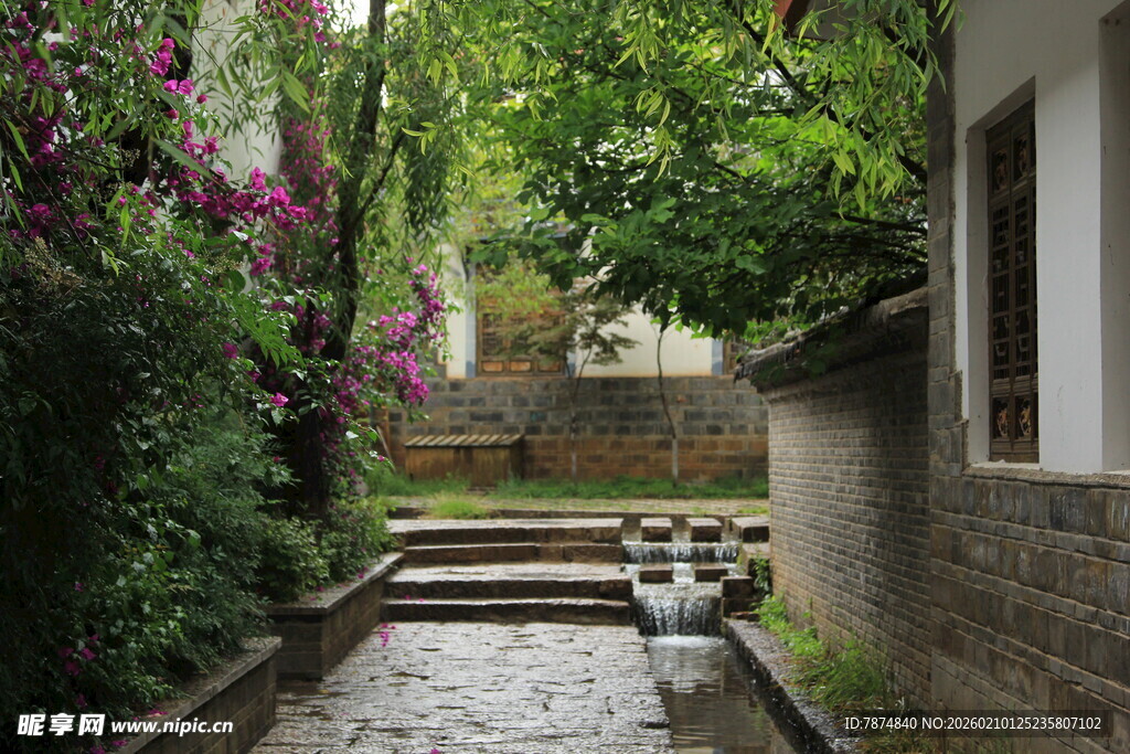 幽静小院中的石板小径