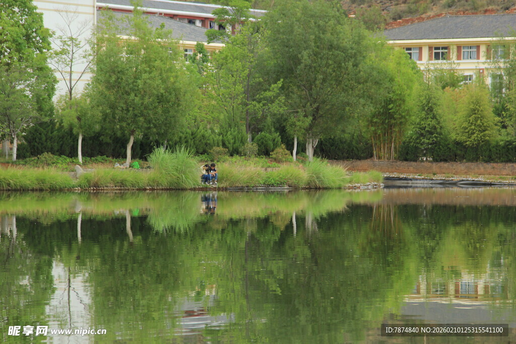 湖畔绿树倒映的宁静景致