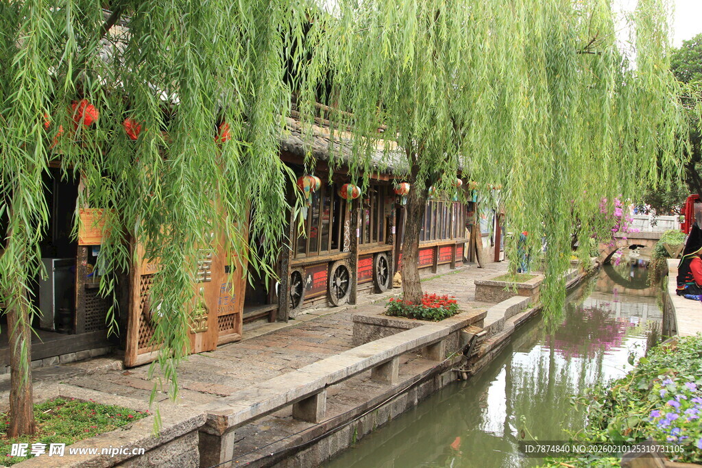 江南水乡垂柳下的古朴景致
