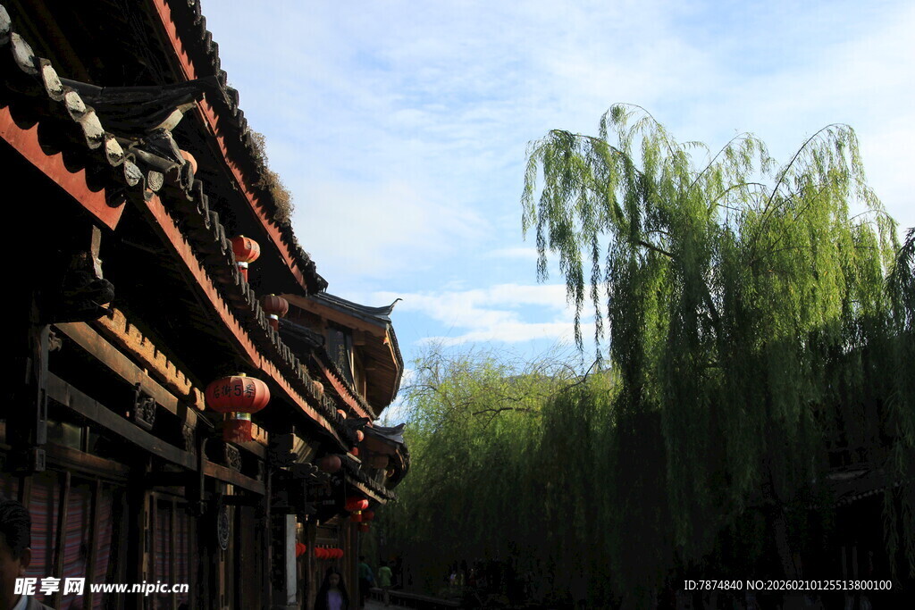 中式古建筑旁垂柳摇曳