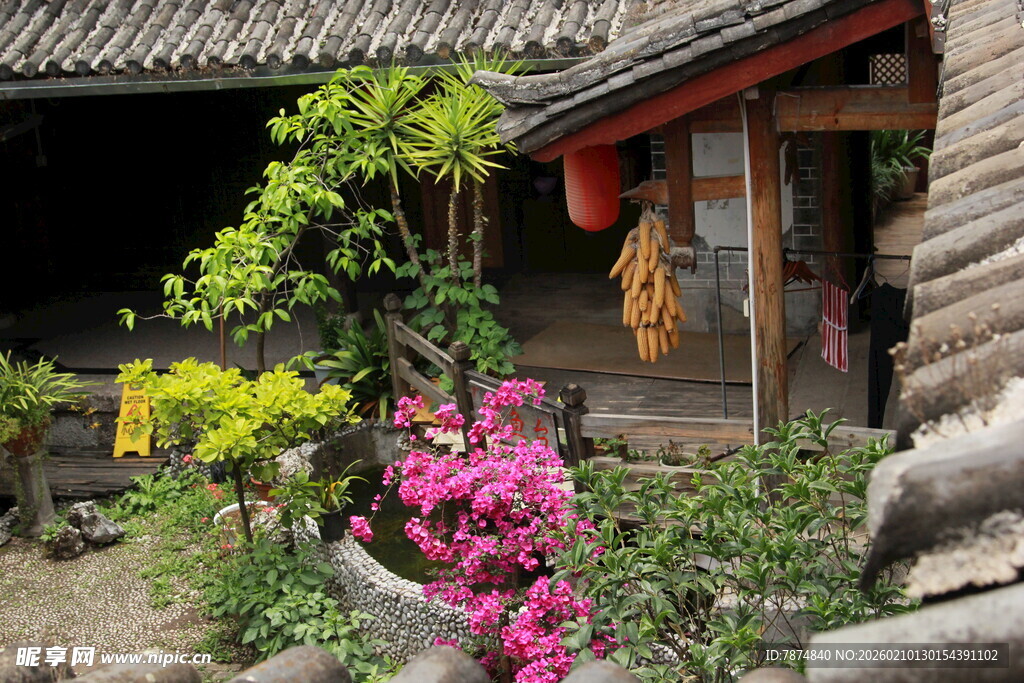 古宅旁绽放的多彩花卉