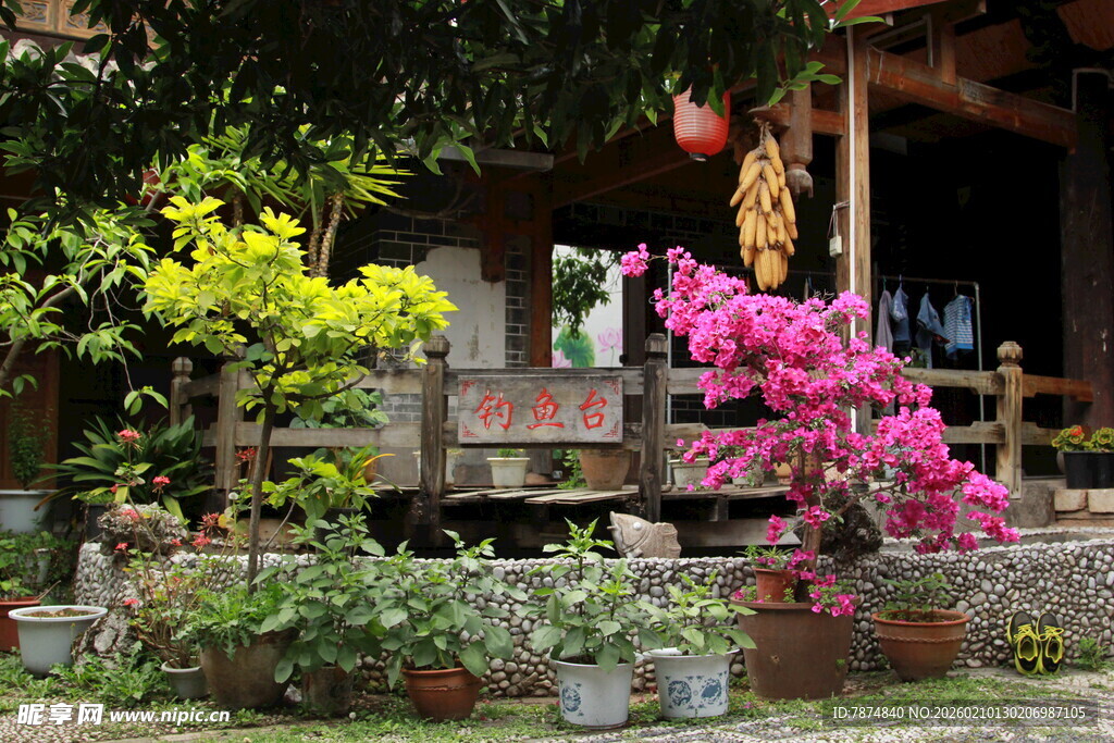 乡村庭院的缤纷花卉景致
