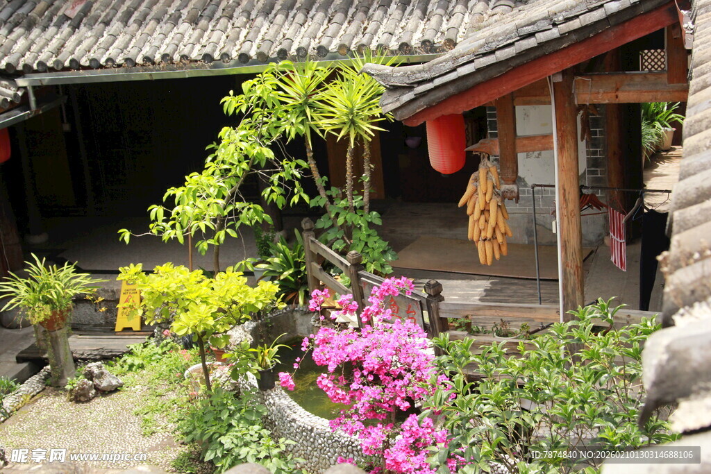 古宅庭院中的缤纷花卉