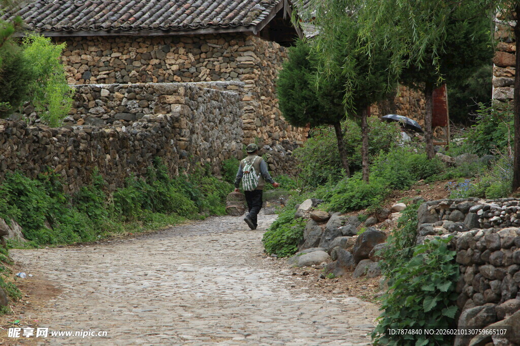 乡村小道上的独行者