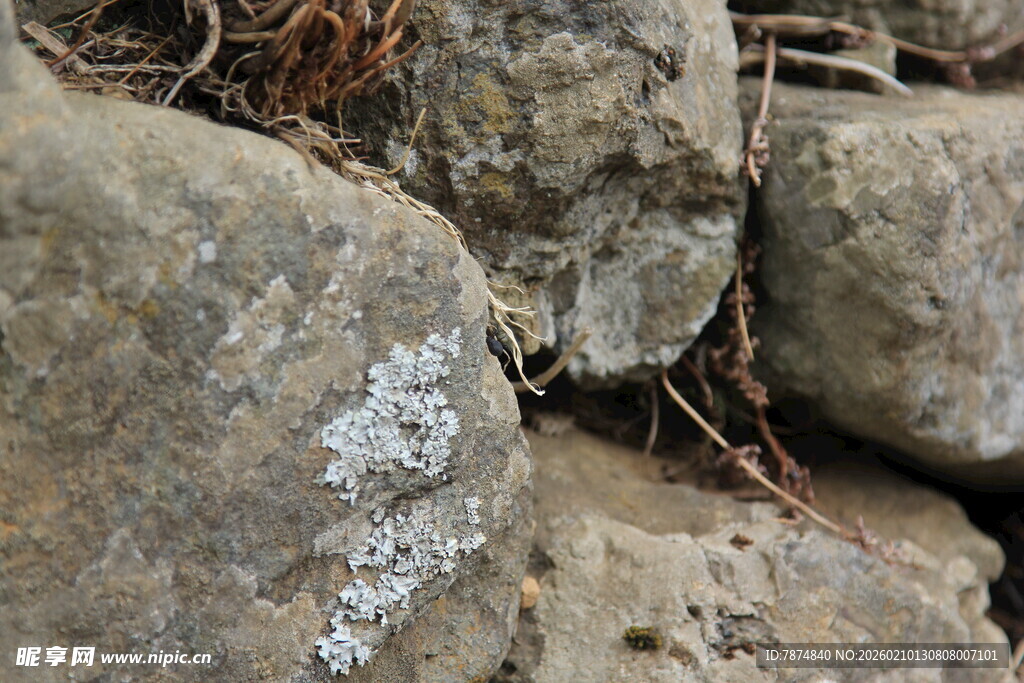 岩石缝隙中的神秘景象
