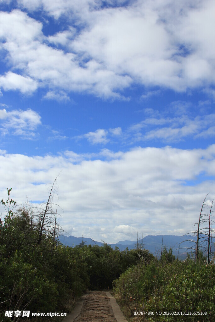 山间小径蓝天白云美景