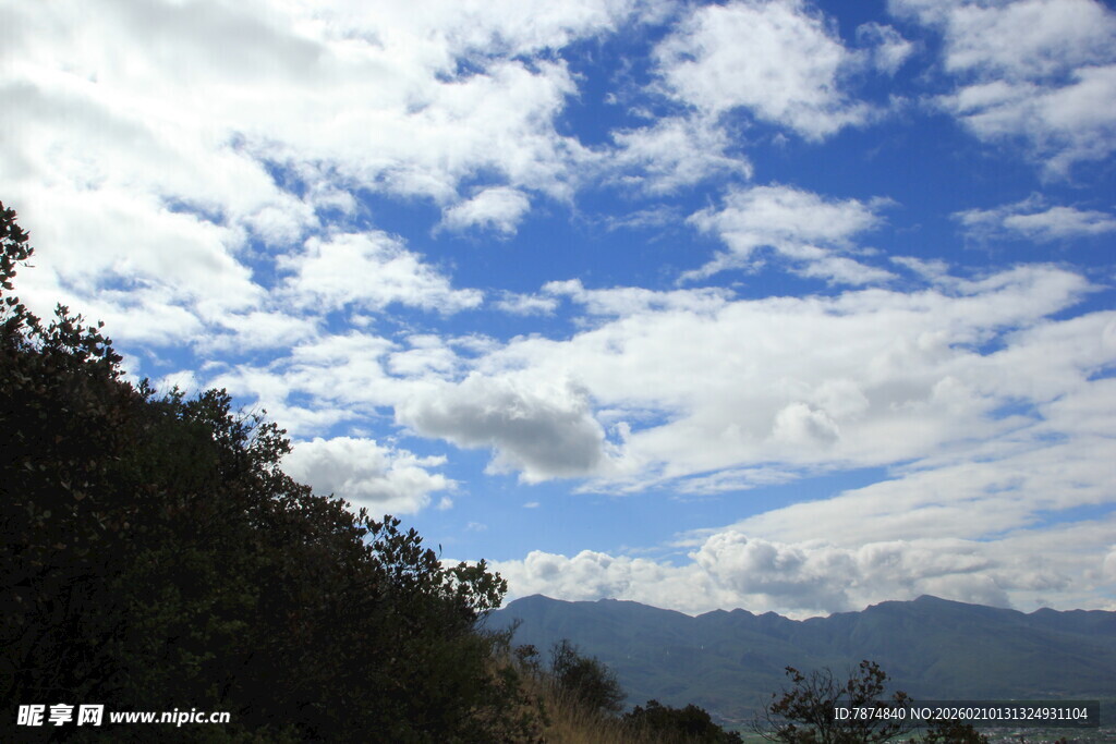 蓝天白云下的山林景致