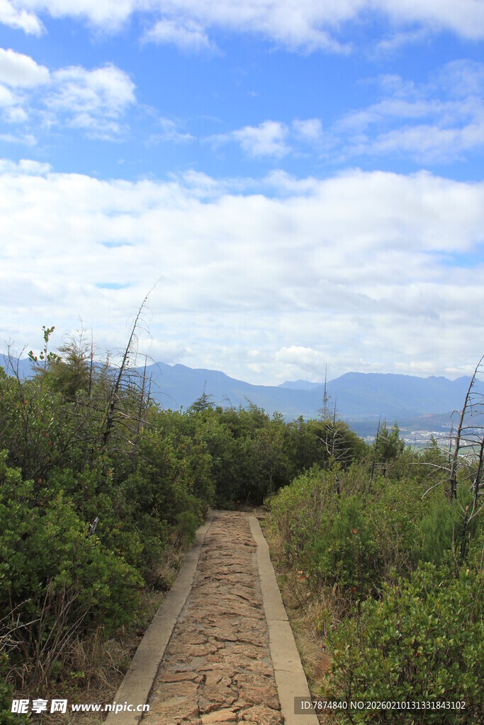 山间小径 畅享自然之美