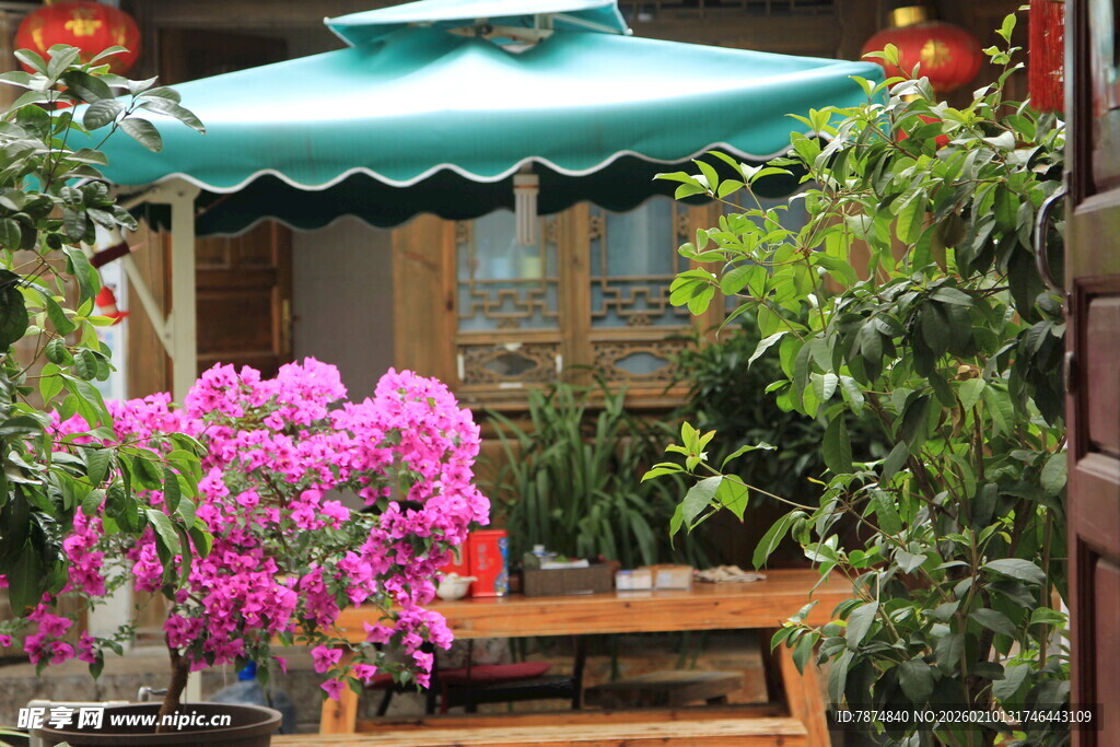 庭院绿植景观 闲适氛围