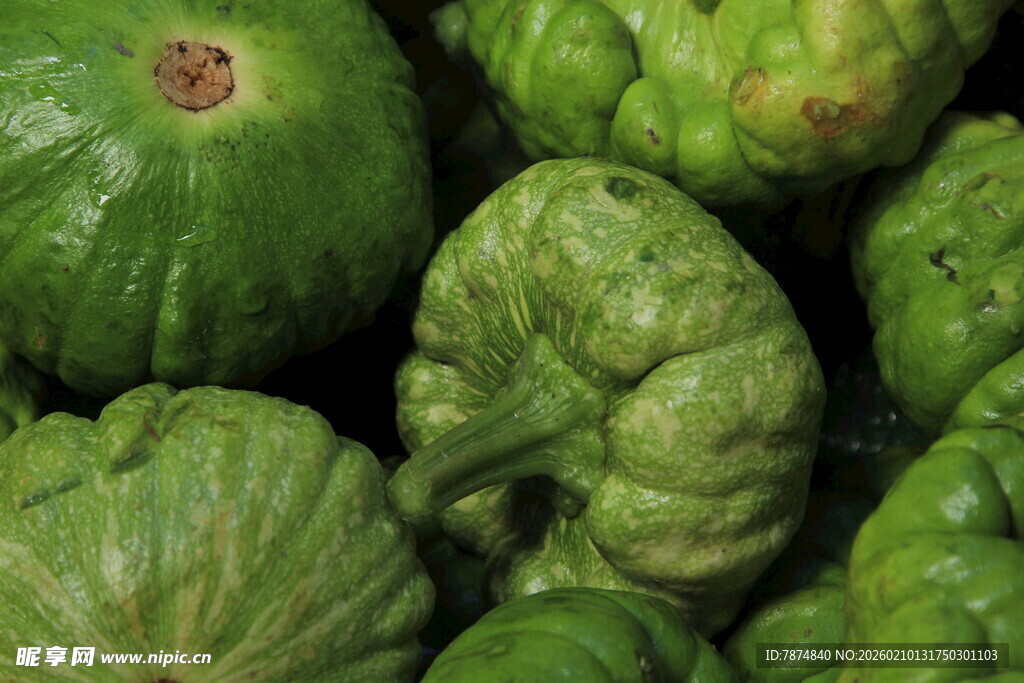 新鲜皱皮瓜特写