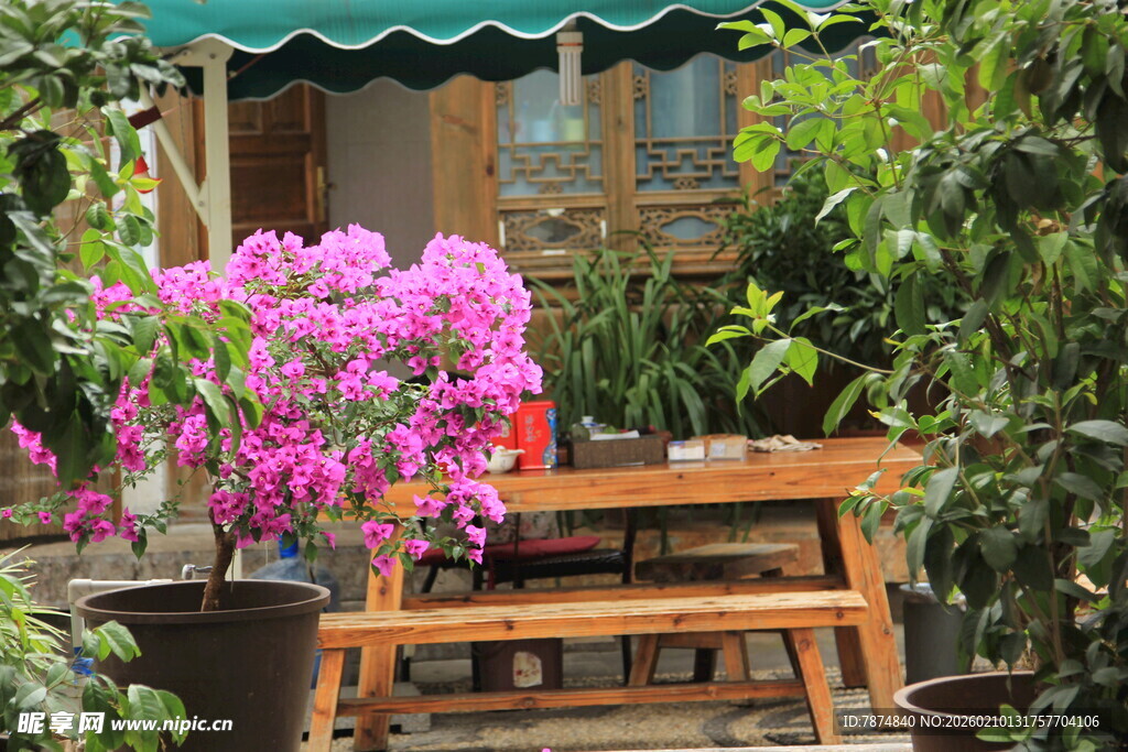 庭院中的缤纷花卉与木桌