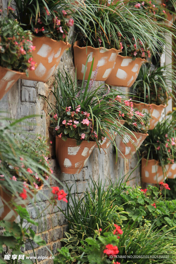 垂直绿植墙 生机盎然