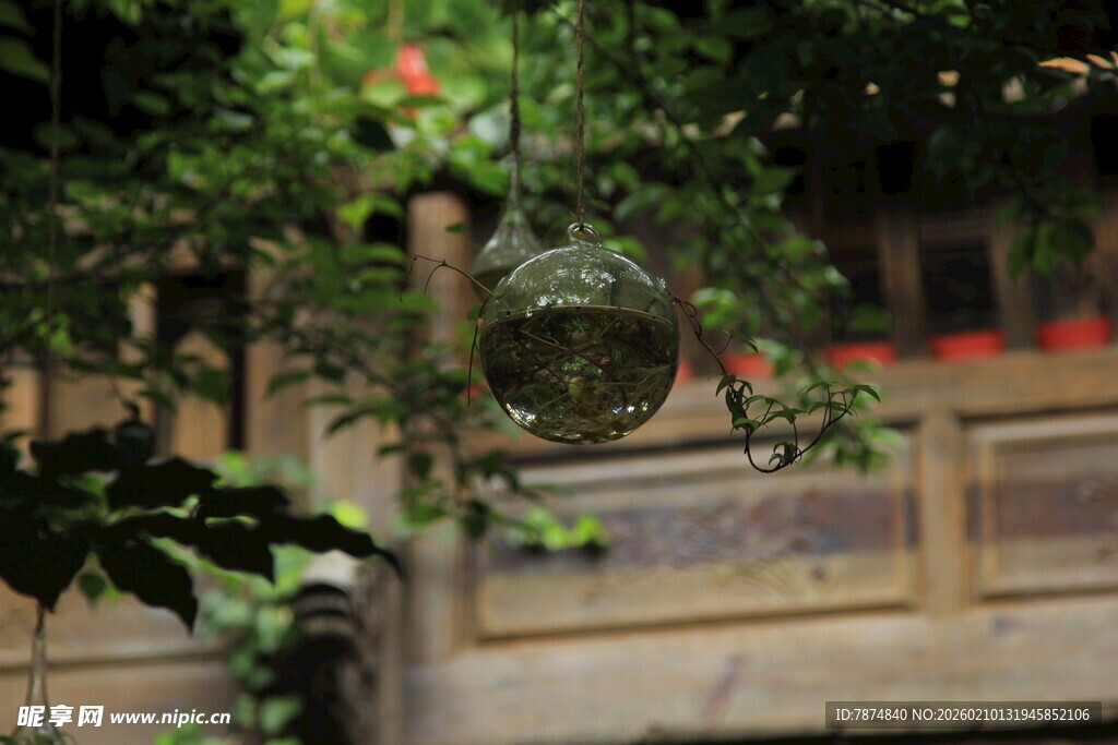 庭院绿植装饰景观一角