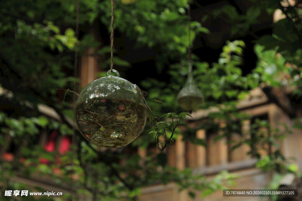 悬挂绿植装饰 庭院小景