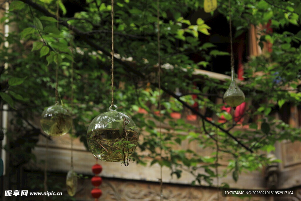 绿叶掩映下的建筑景致