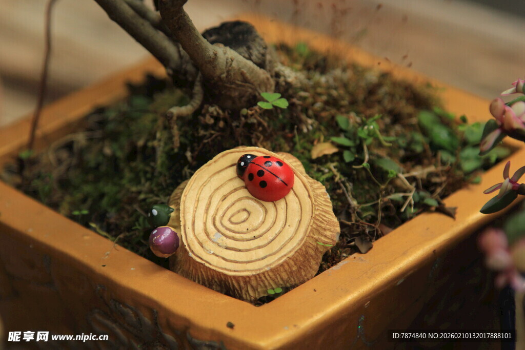 创意瓢虫装饰盆栽