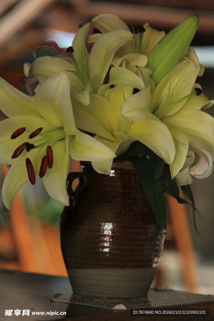 花瓶中绽放的清新百合花