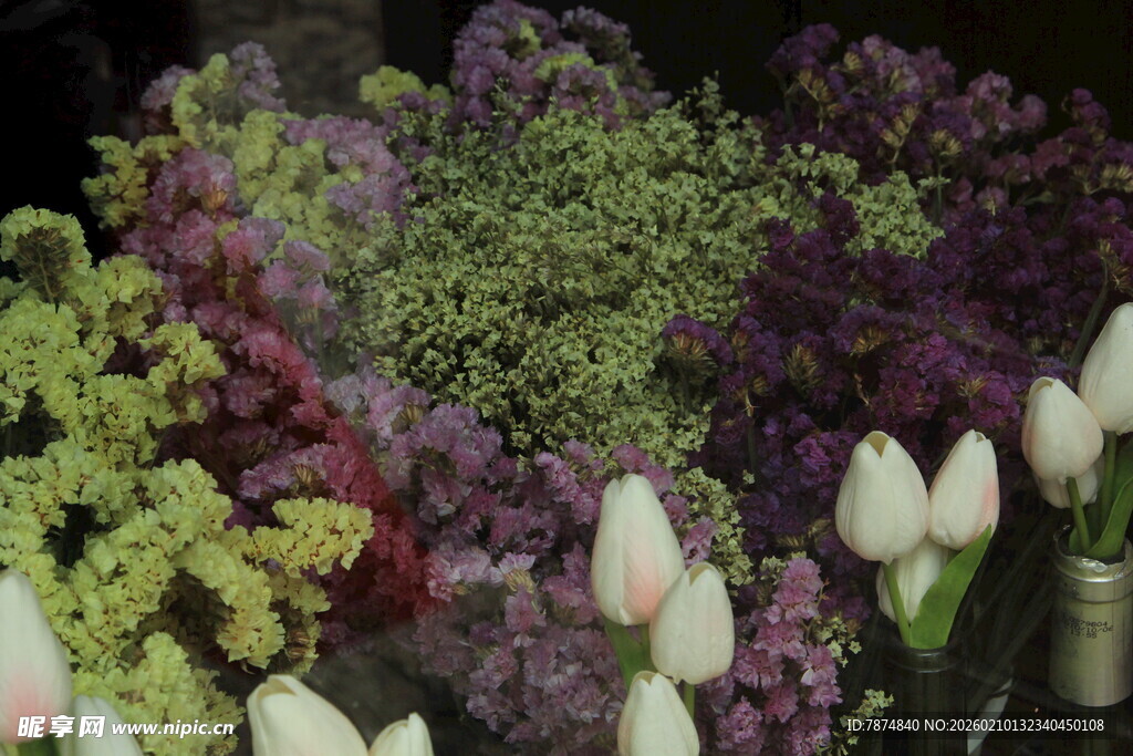 多彩花卉组合展示