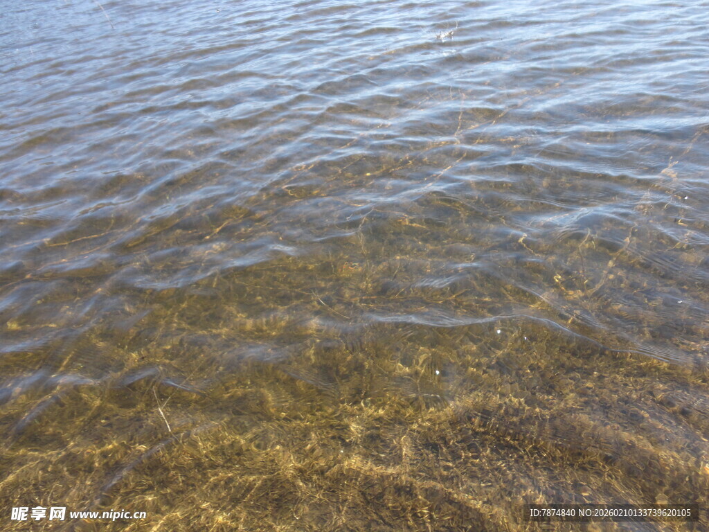 清澈水面泛起细微涟漪