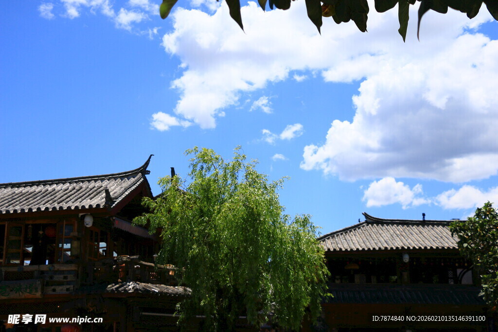 中式古建筑与葱郁绿树