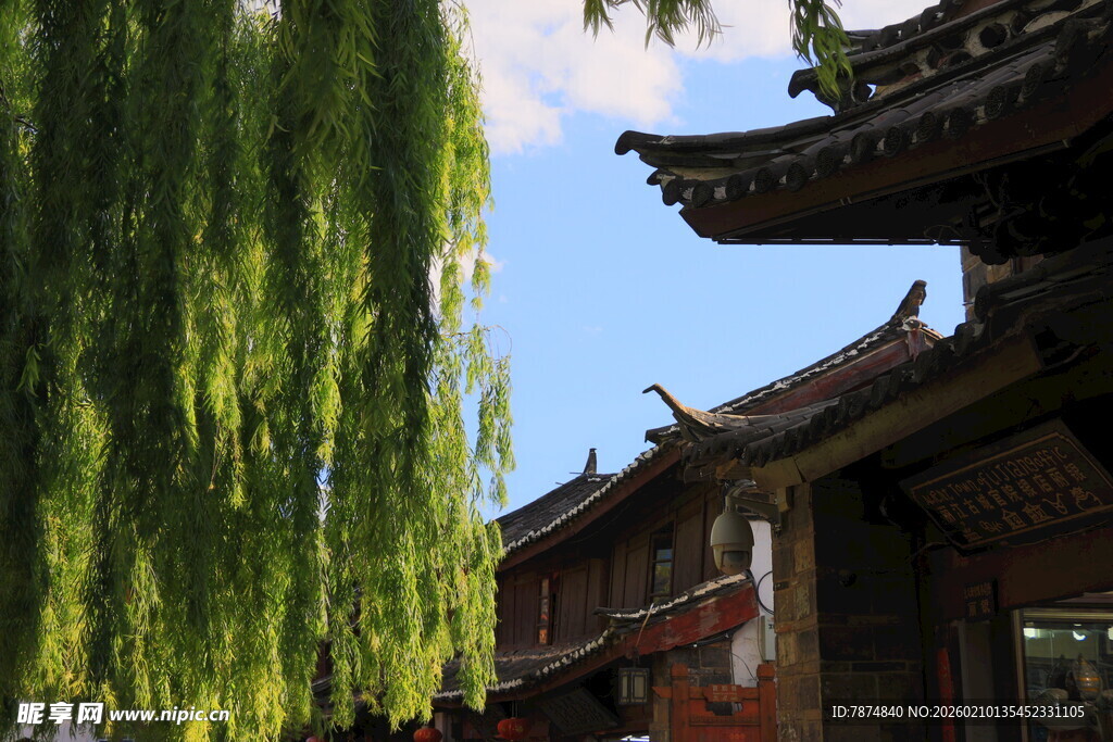 古建旁垂柳摇曳