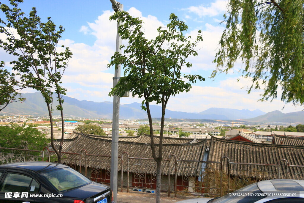 乡村风光中的车辆与树木