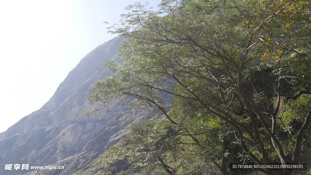 山间葱郁树木与巍峨山峰