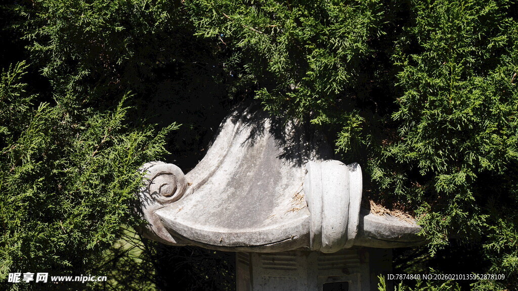 花园中的蜷曲雕塑