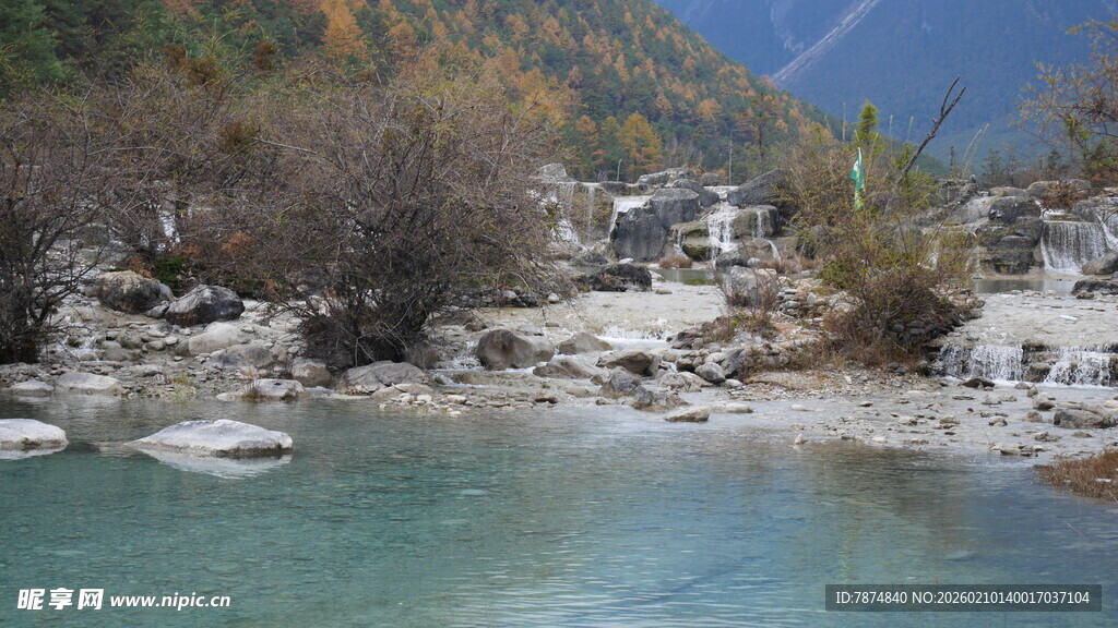 清澈溪边的自然美景