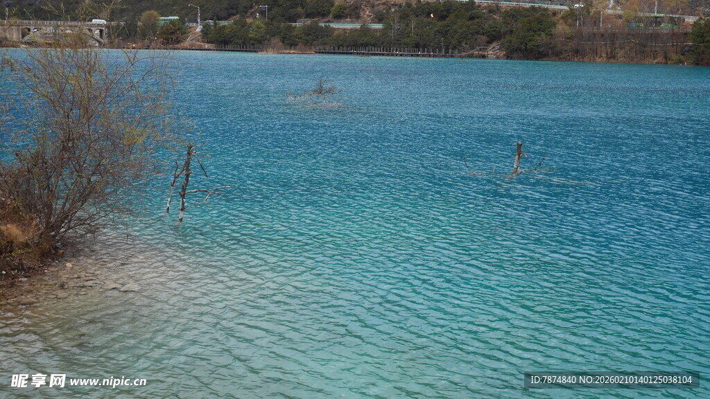 清澈蓝湖岸边景致
