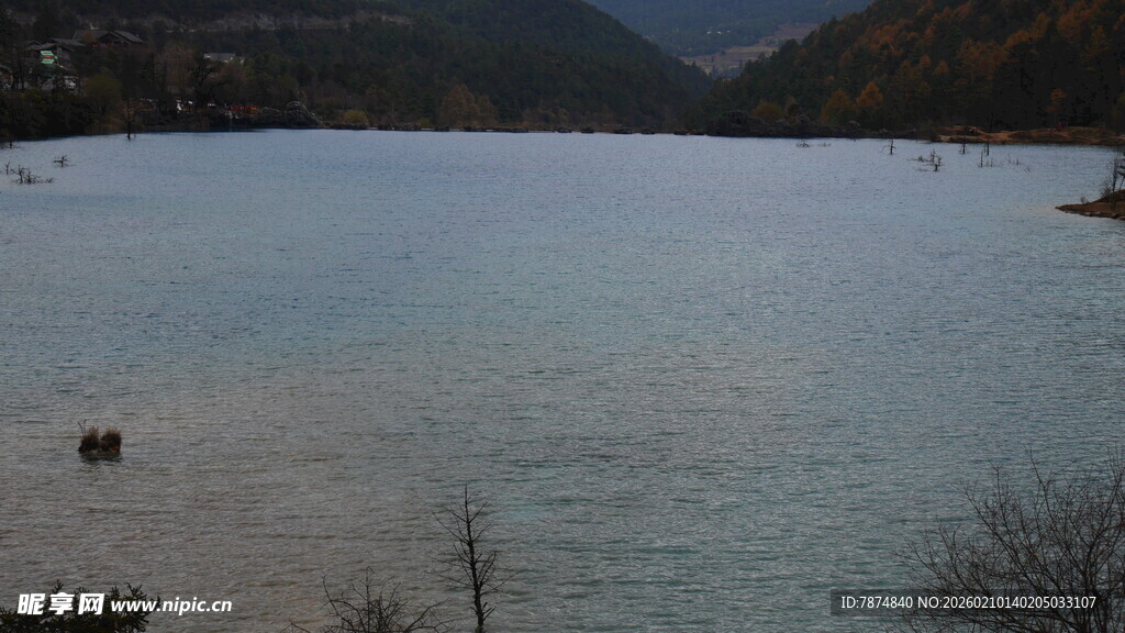 宁静湖水边的悠然景致