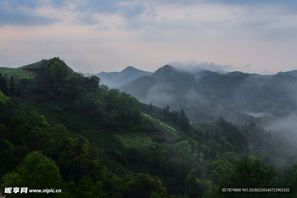 山间云雾缭绕的翠绿景致