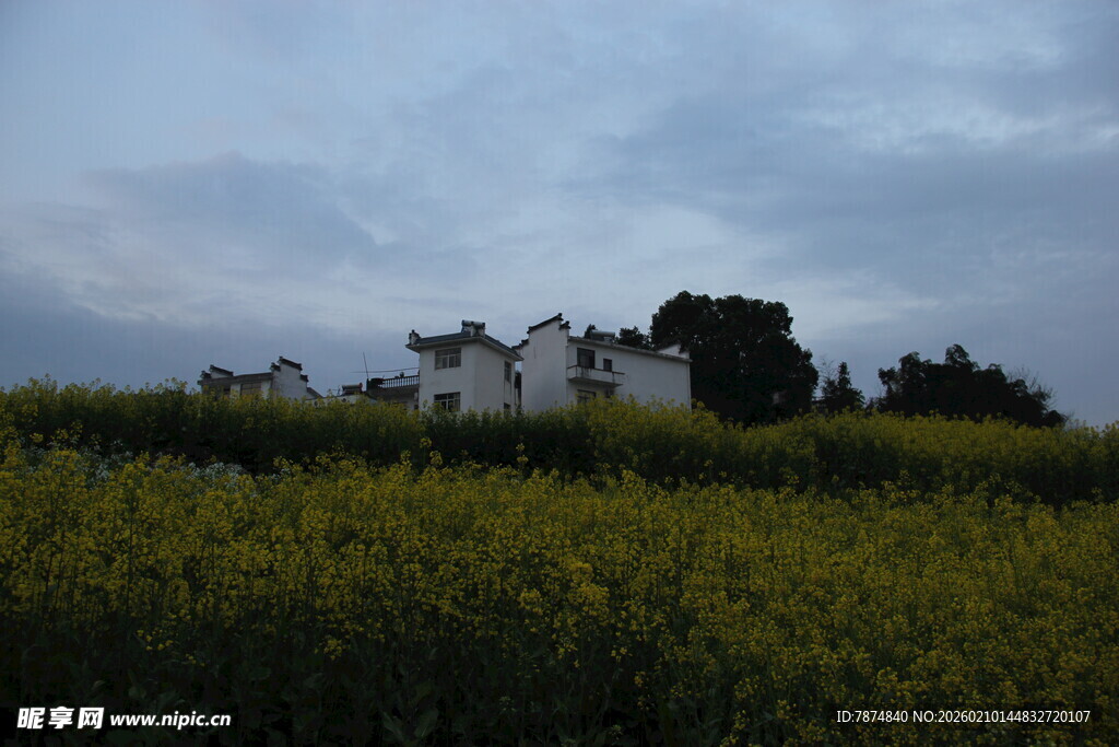 田野中的古老建筑