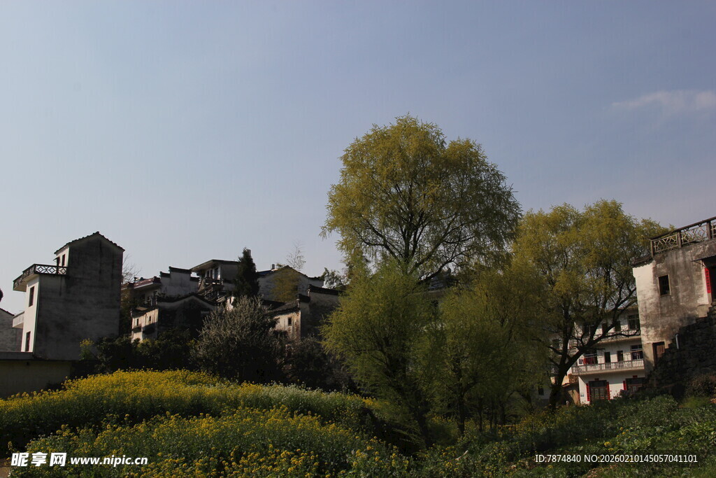 乡村田园风光美景