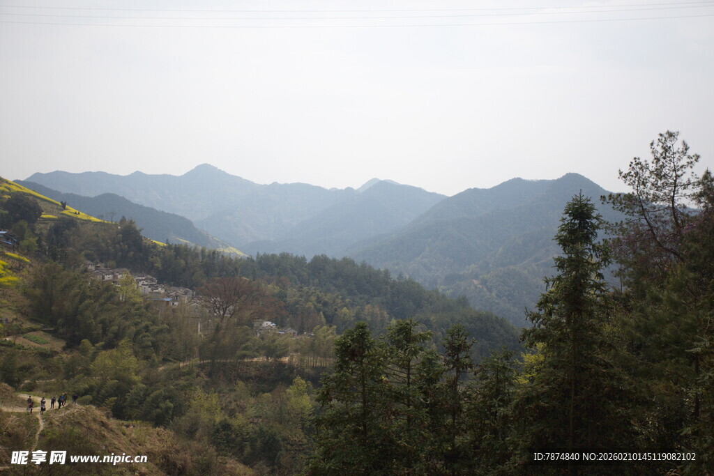 山峦叠翠间的葱郁山林