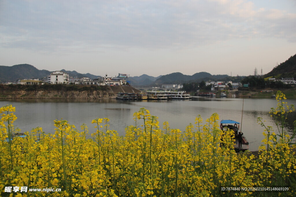 湖畔黄花间的悠然垂钓