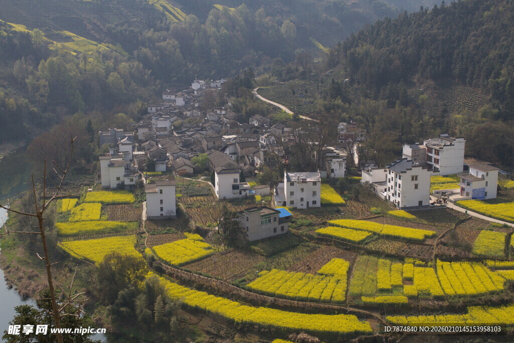 山村油菜田春色美景