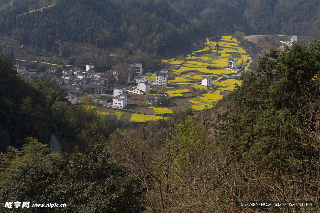 山间油菜田与村落美景