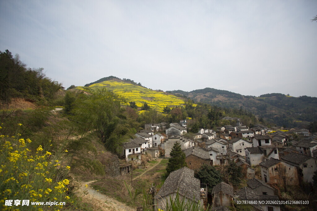 山村春色 繁花点缀村落