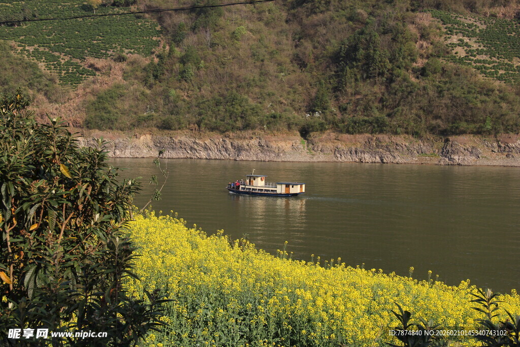 湖畔油菜花与行船美景