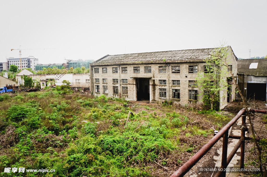 荒废厂房被绿植环绕