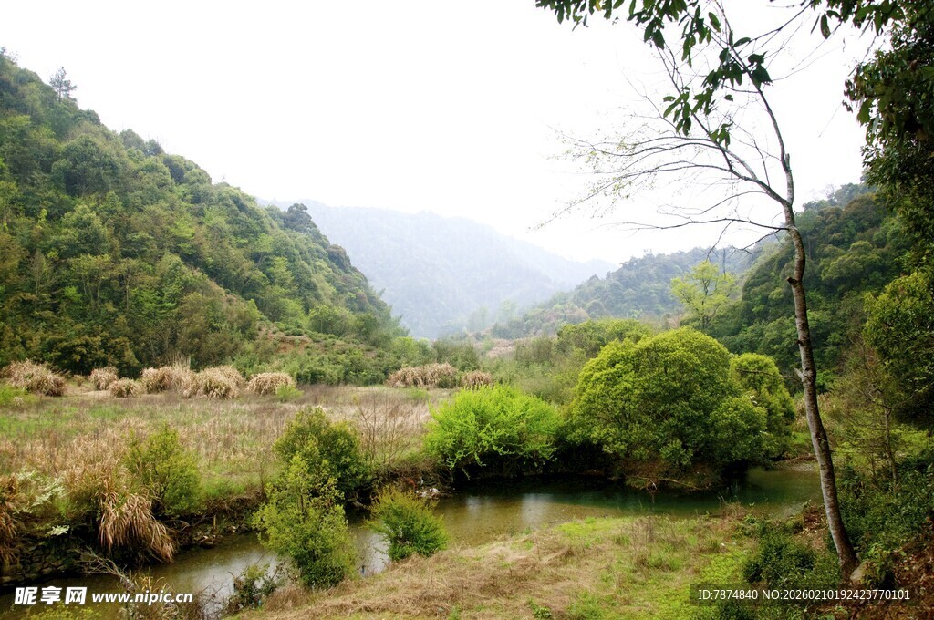 婺源山间绿野小溪自然风光