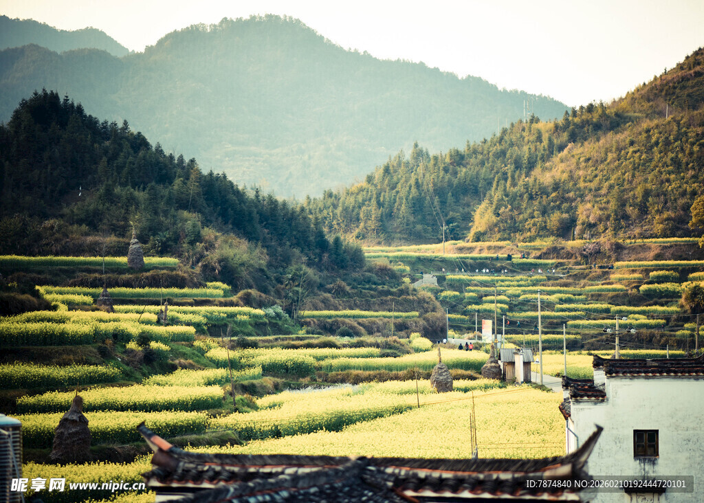 婺源山间梯田美景