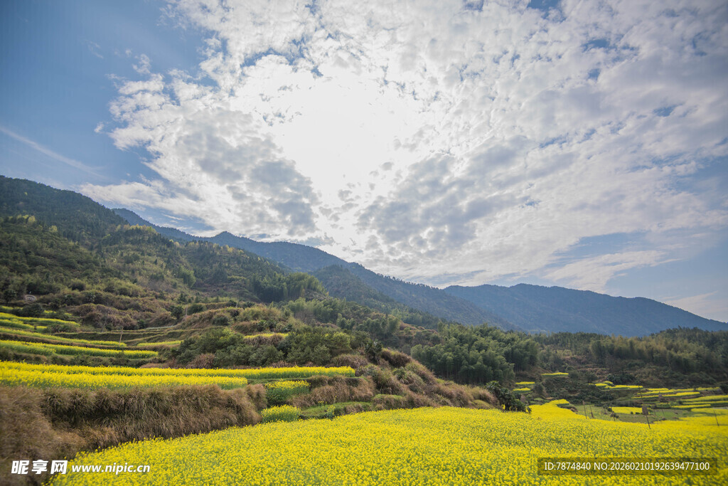 婺源山间油菜田 蓝天白云景