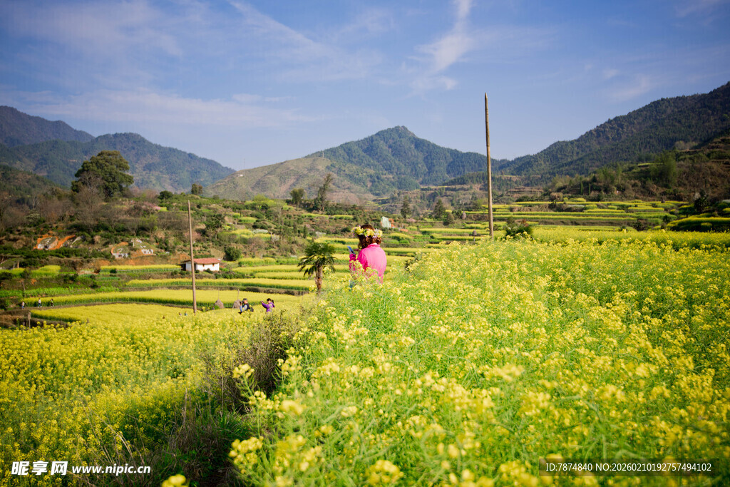 婺源春日田野中的漫步身影