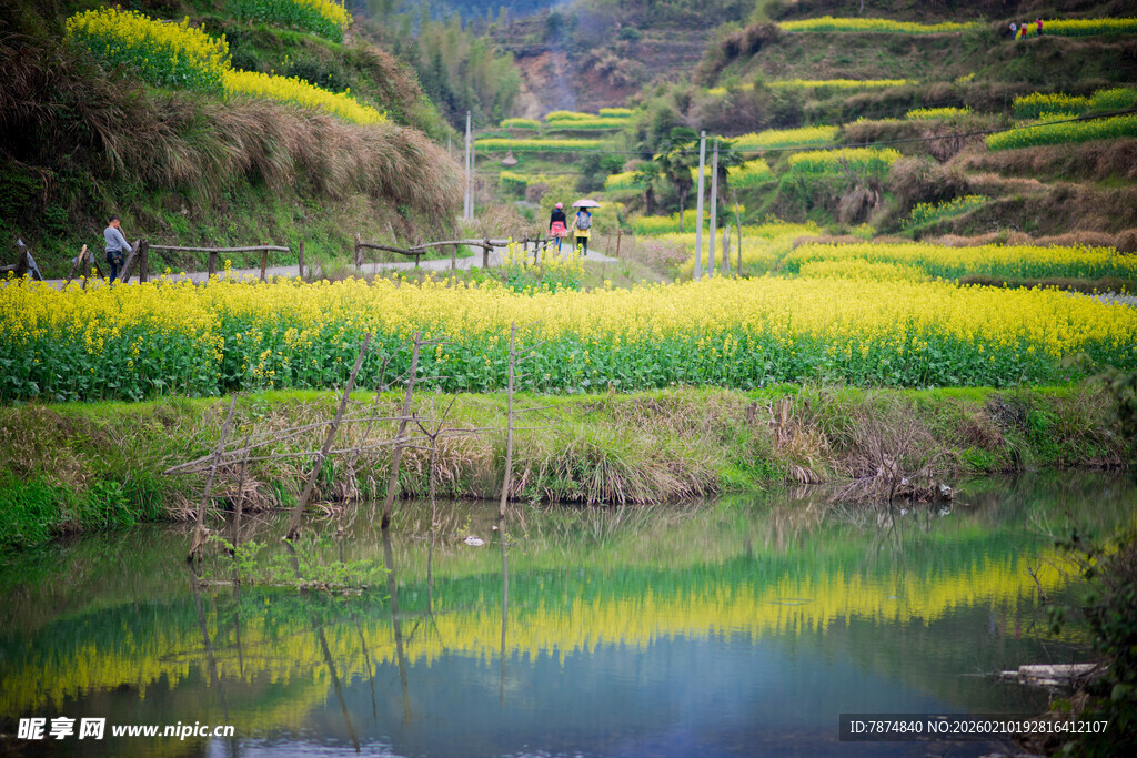 婺源春日田园山水倒影美景