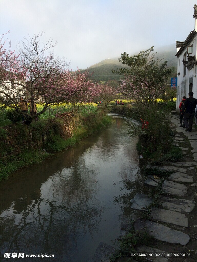 婺源乡村溪边春日美景