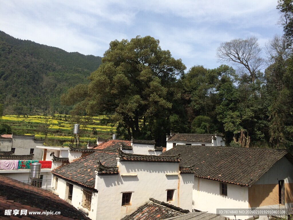 婺源皖南村落风光